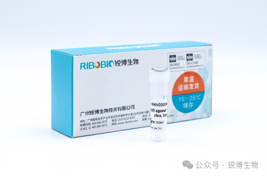 动物用Agomir & Antagomir应用案例丨含动物建模、实验处理、给药方式、给药剂量