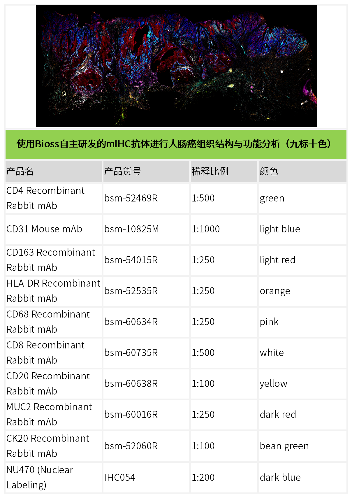 新闻图片5
