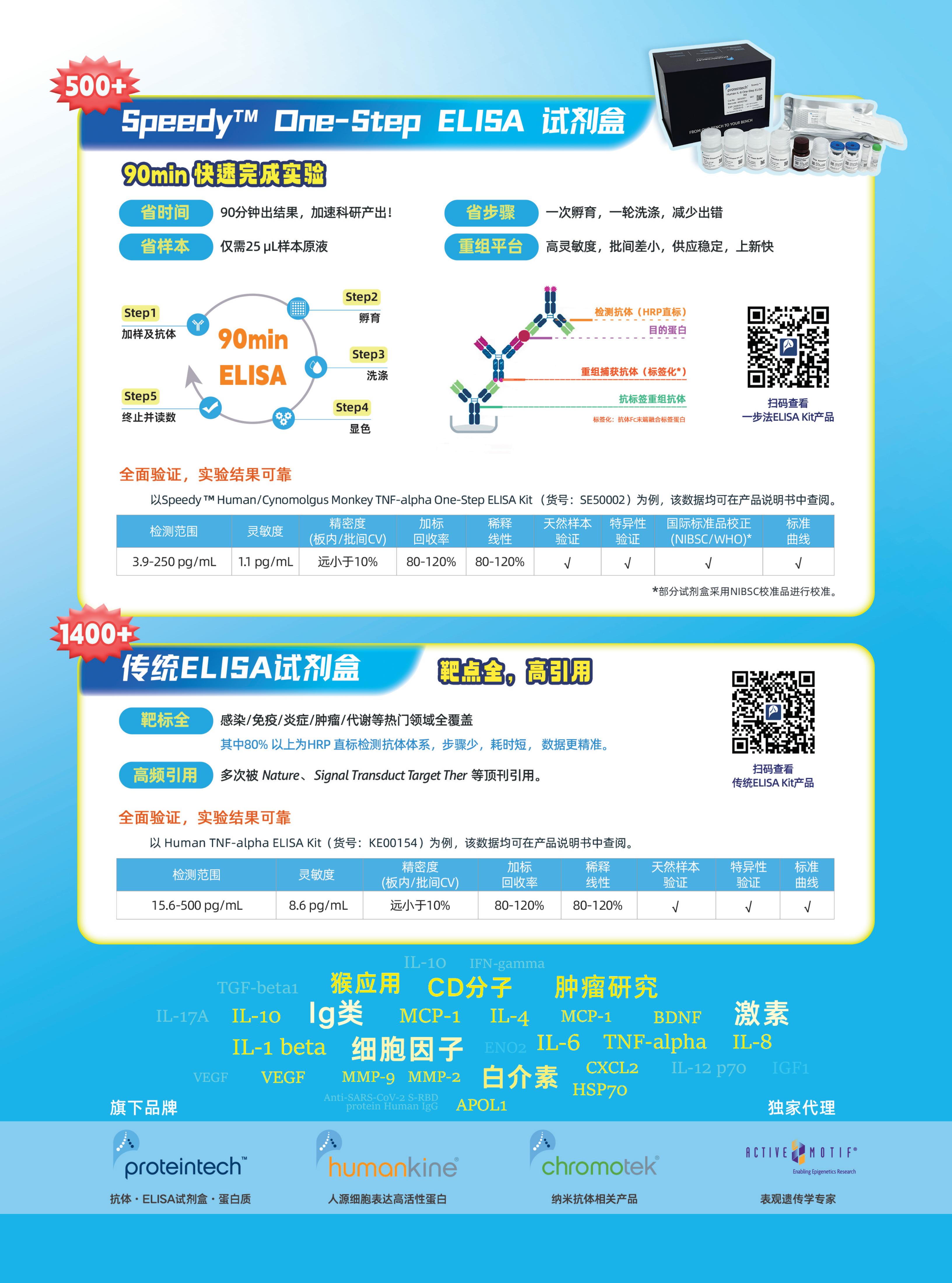 新闻图片2