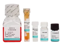 大鼠骨髓间充质干细胞成软骨诱导分化培养基