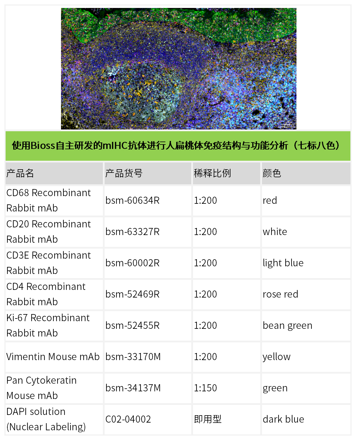 新闻图片4