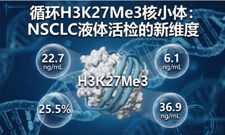 肿瘤液体活检新视角：H3K27Me3核小体或为NSCLC提供补充信息