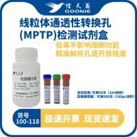信天翁GOONIE  线粒体通透性转换孔(MPTP)检测试剂盒