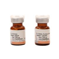 重组人白细胞介素4 /Recombinant IL-4，Human，Animal-Free