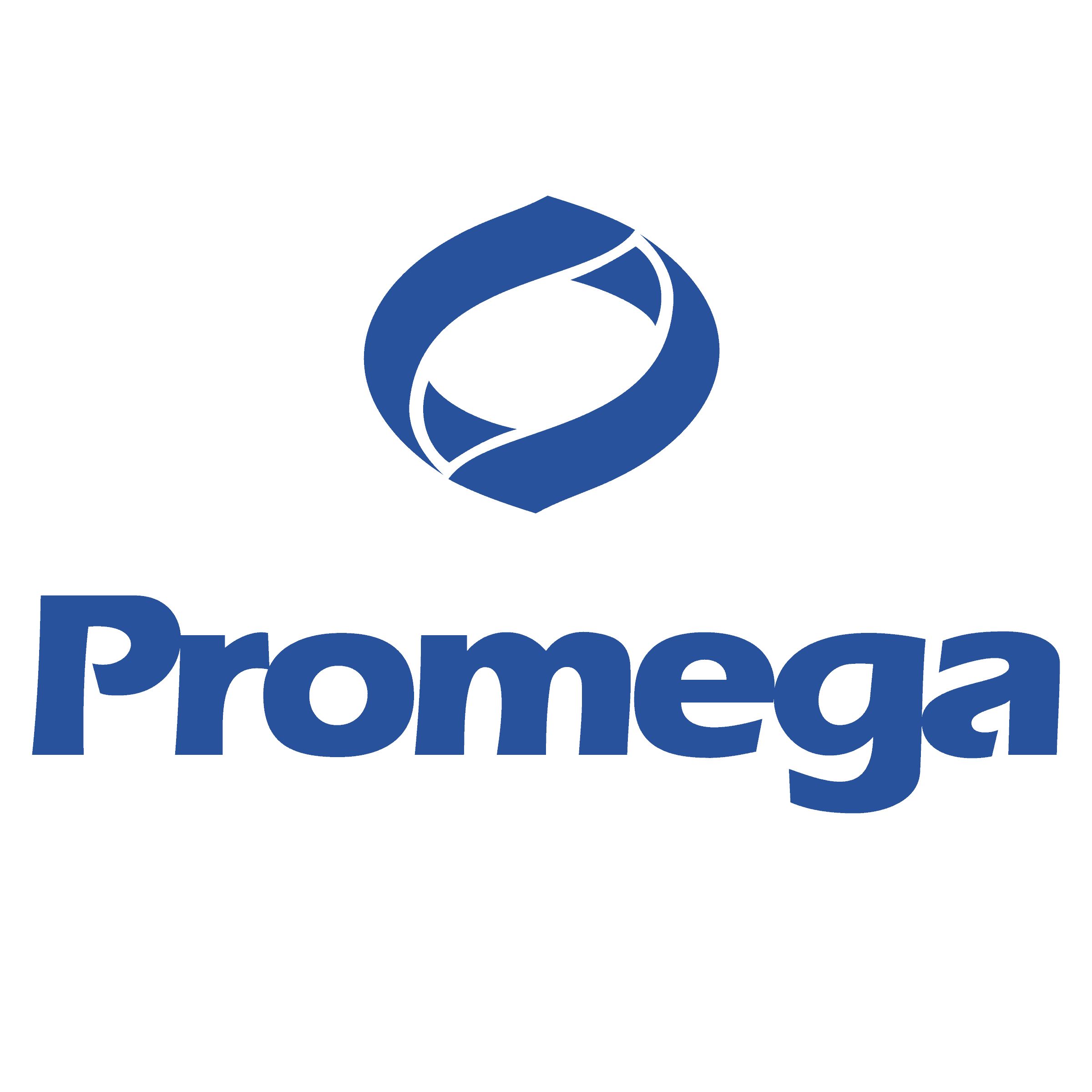 Promega载体NanoLuc®-WEE2 Fusion Vector