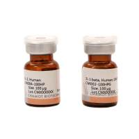 重组人白细胞介素1 beta /Recombinant IL-1 beta，Human，Animal-Free