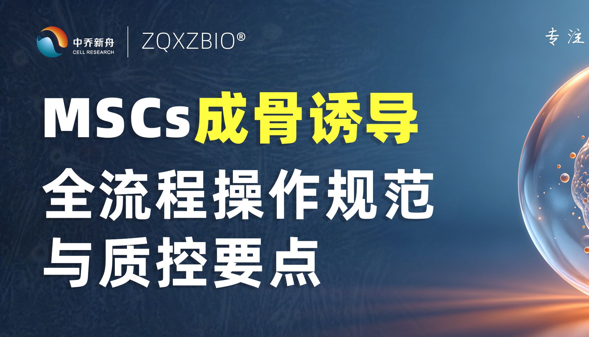 MSCs成骨诱导全流程操作规范与质控要点
