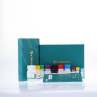 Human CD200 ELISA Kit（人CD200分子/OX-2膜糖蛋白 ）-ELISA试剂盒
