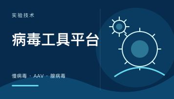 吉凯基因病毒工具怎么样？二十年慢病毒/AAV/腺病毒平台一站式实测