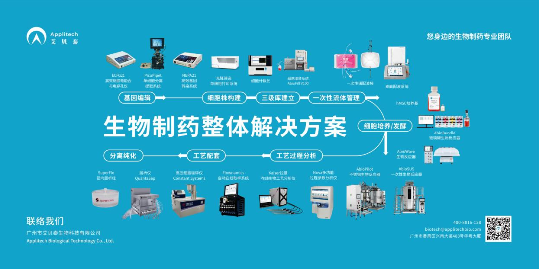 新闻图片2