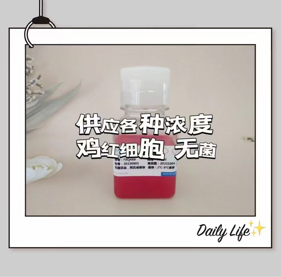 新闻图片3