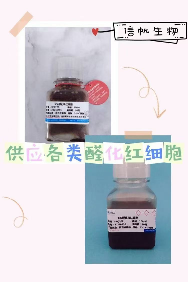 新闻图片2