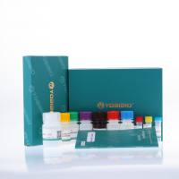 Human AP2 ELISA Kit（人脂肪细胞型脂肪酸结合蛋白）-ELISA试剂盒