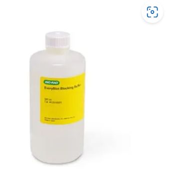 EveryBlot Blocking Buffer, EveryBlot快速封闭液-BIO-RAD
