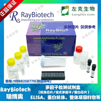 PAH-LCAA-G1-16  16样本  Lung Cancer IgA Autoantibody Array G1