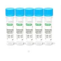 SsoAdvanced Univ Probes Supermix-BIO-RAD
