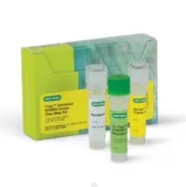 iTaq™ Universal SYBR Green One-Step Kit-BIO-RAD