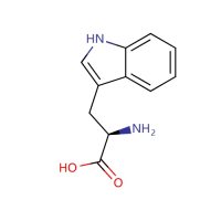 D-色氨酸，153-94-6，Moligand™, ≥98%，阿拉丁