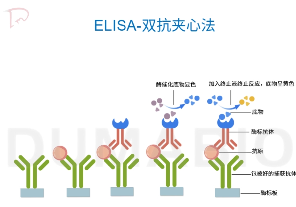 产品细节图片2