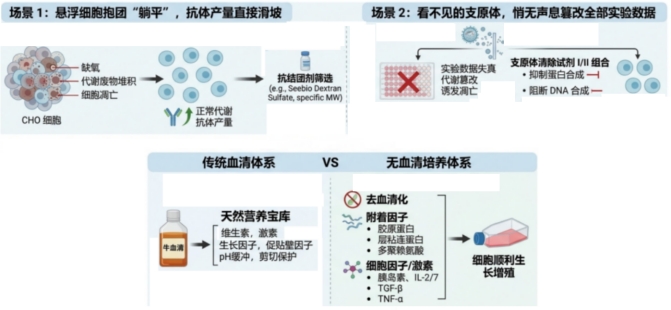 新闻图片2
