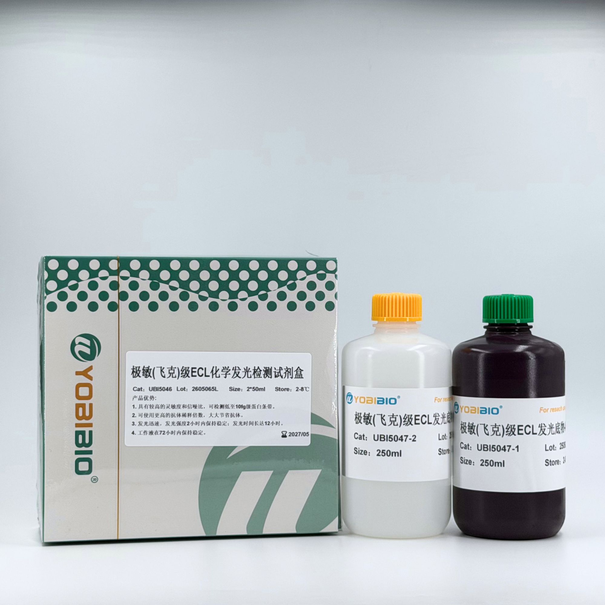 极敏（飞克级）ECL化学发光检测试剂盒