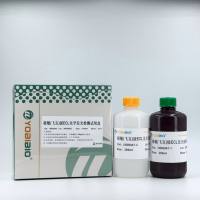 极敏（飞克级）ECL化学发光检测试剂盒