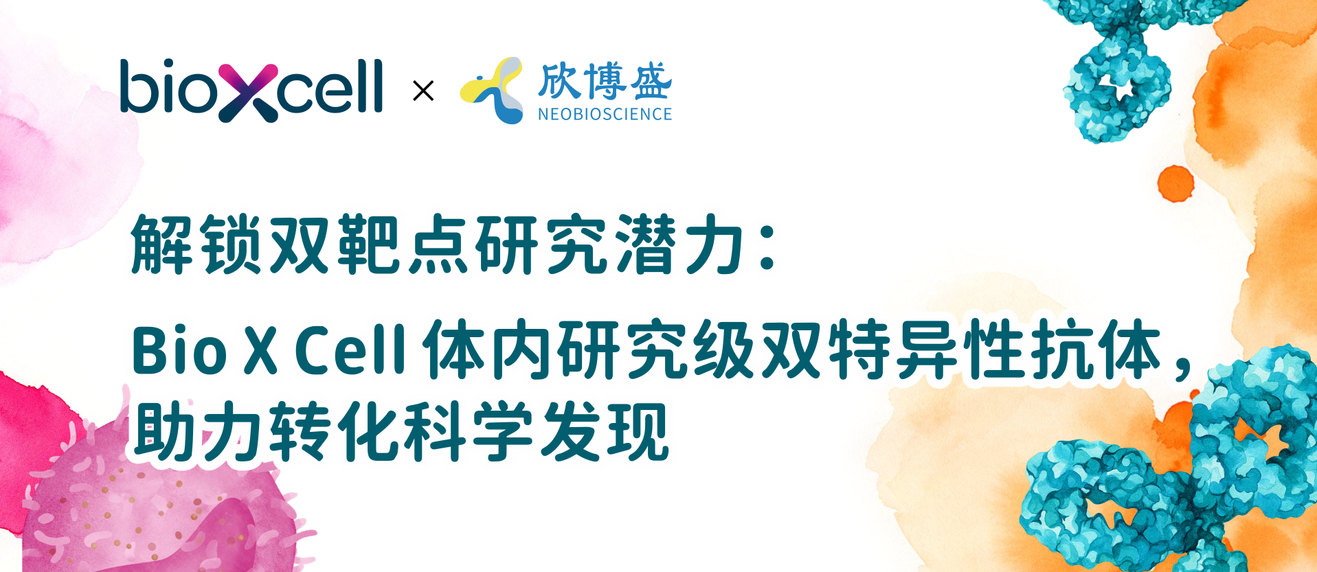 解锁双靶点研究潜力:Bio X Cell 体内研究级双特异性抗体,助力转化科学发现 解锁双靶点研究潜力:Bio X Cell 体内研究级双特异性抗体,助力转化科学发现