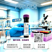 PE/Cyanine5 anti-mouse/human CD11b