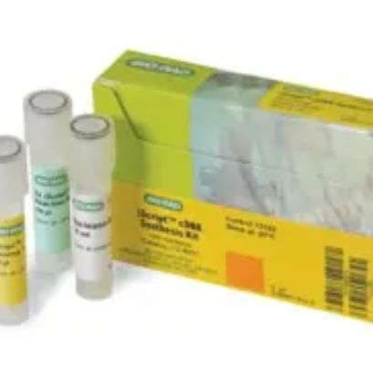 iScript cDNA Synthesis Kit-BIO-RAD