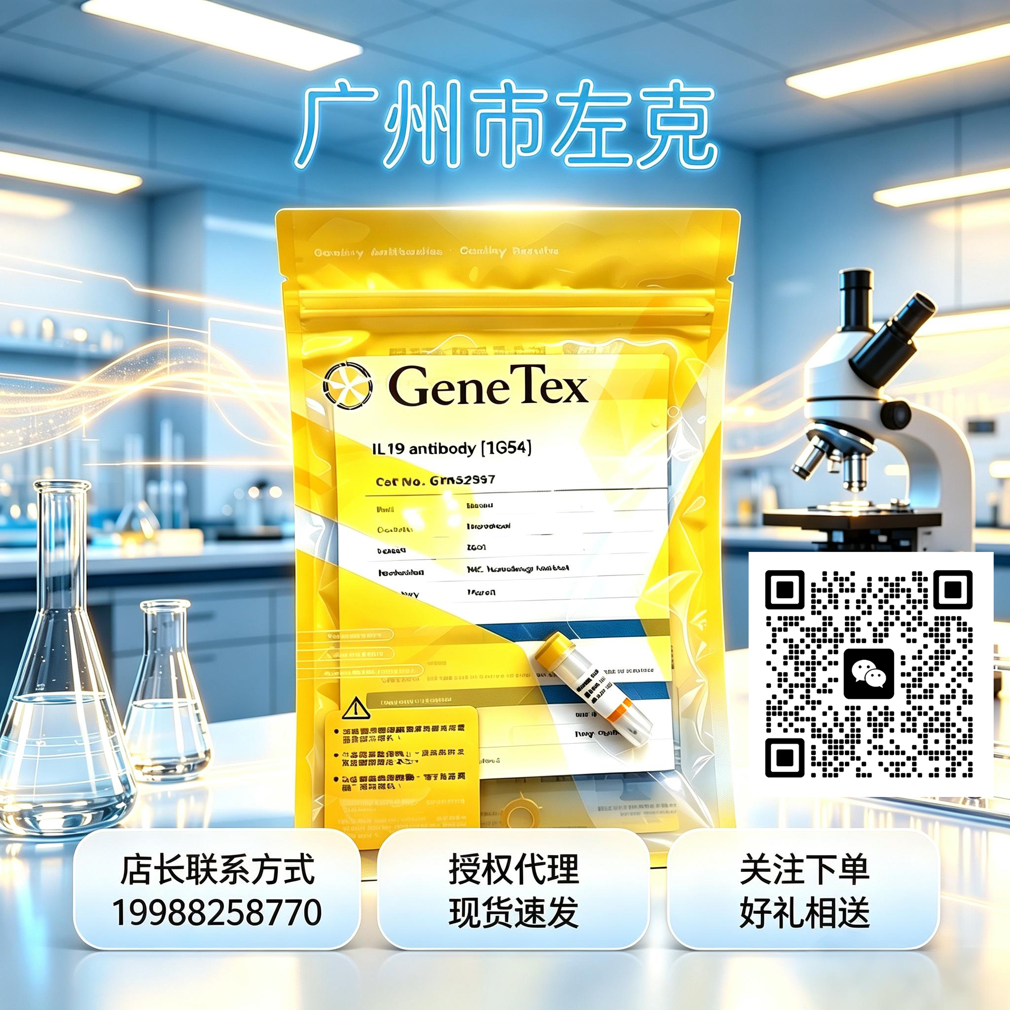 Japanese encephalitis virus NS1 antibody [GT1410]产品图