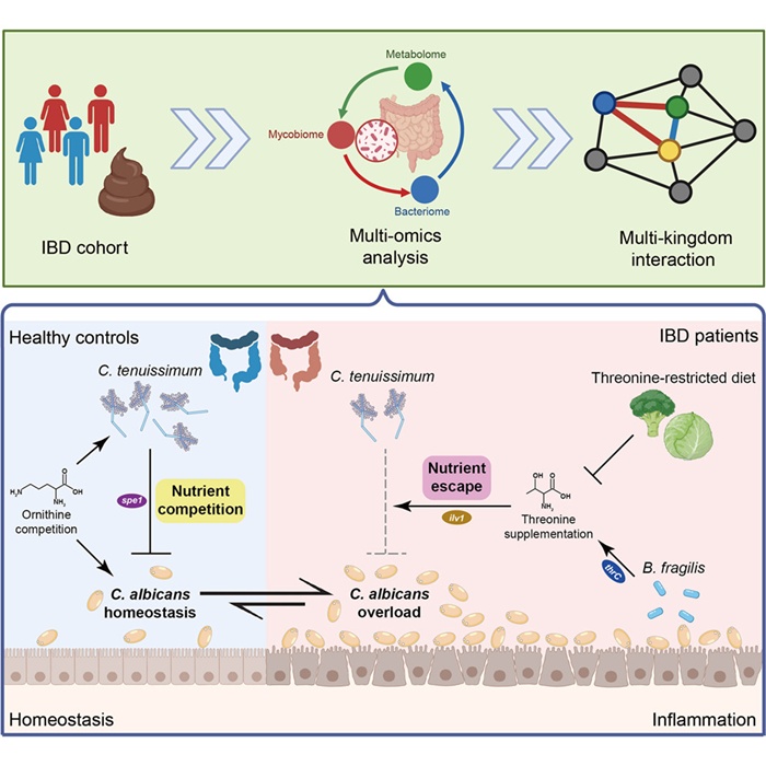 BMG LABTECH多功能酶标仪文献分享, 上海交大牵头发表在Cell Host & Microbe “Cross-kingdom metabolic interactions govern Candida albicans overgrowth and colitis progression” 报告