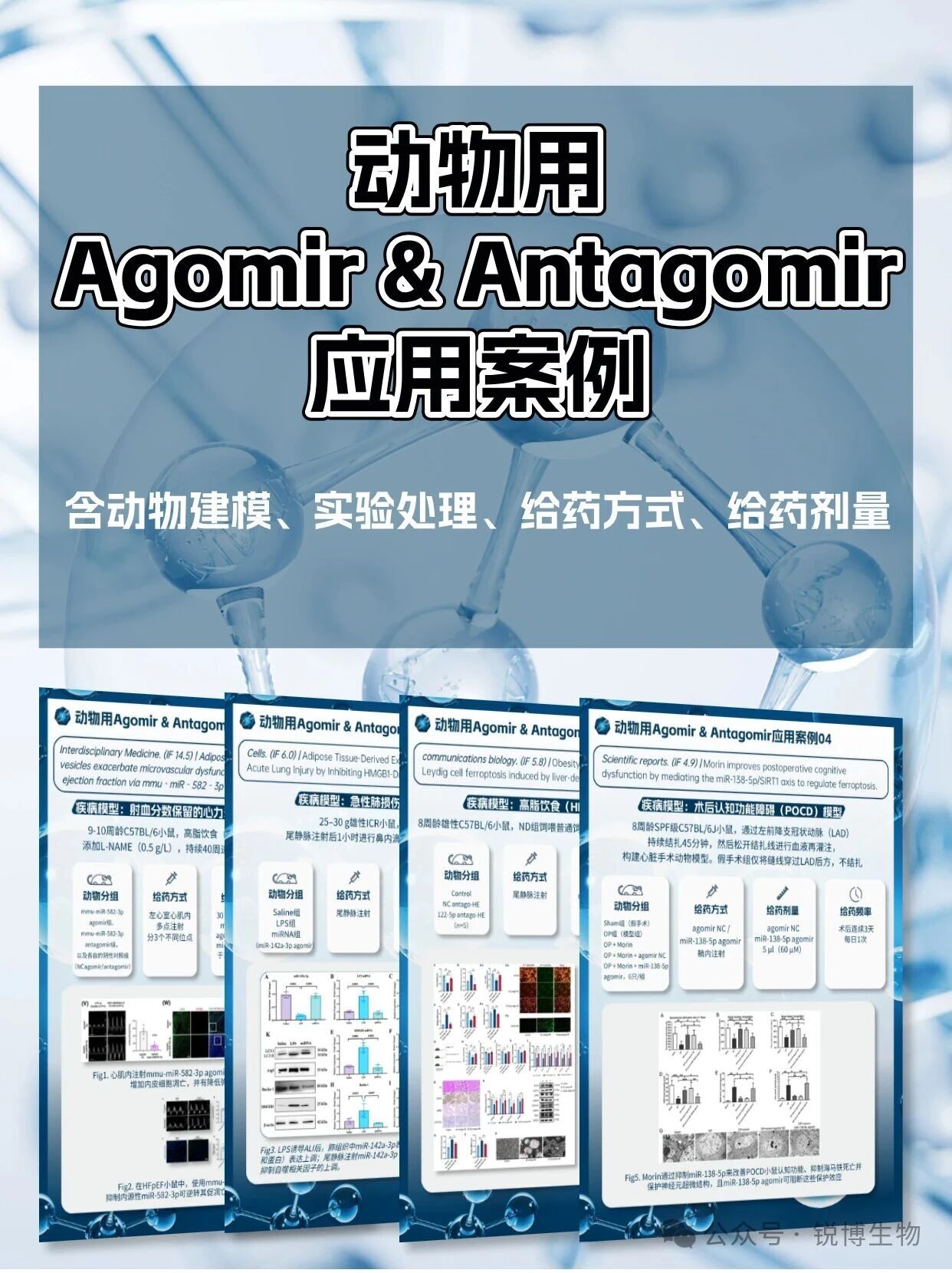 建议收藏 | 动物用agomir&antagomir案例