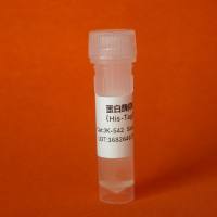 SUPER Green I 效果同SYBR Green I