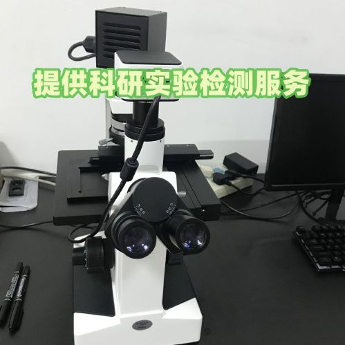 甘油三酯(TG)实验代测产品图