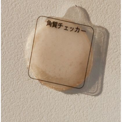 ASCH AST-01皮肤角质剥离胶带