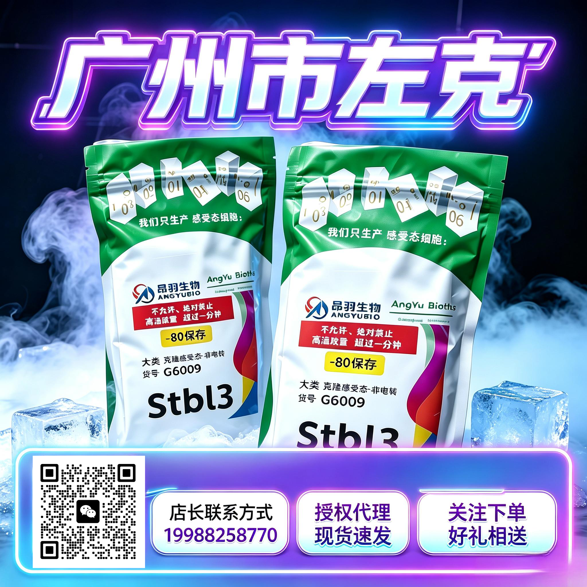 C43(DE3) 电转感受态细胞、C43(DE3) 电击感受态细胞、C43(DE3) 超级感受态细胞产品图