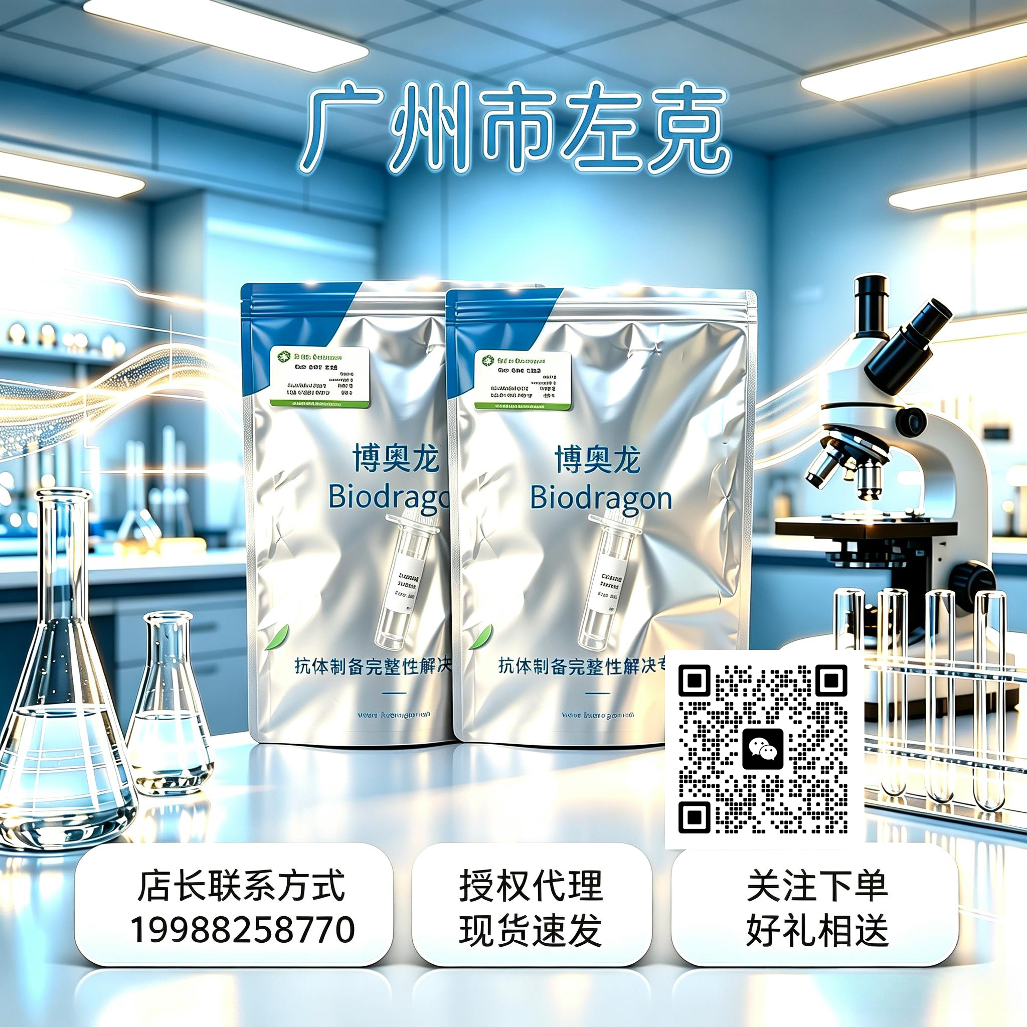 HSP60 (2D3) Mouse Monoclonal Antibody产品图