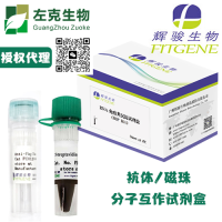 proten G ChIP试剂盒
Chromatin Immunoprecipitation (ChIP) Kit, Protein G Agarose