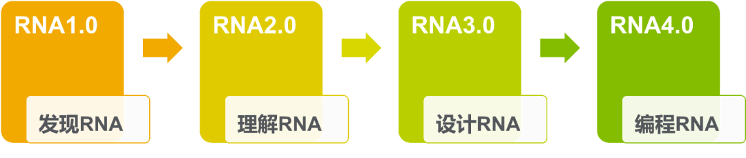 当 AI 学会设计 RNA，一场新的设计革命正在发生