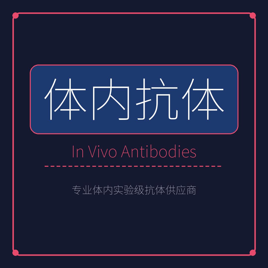 Syd Labs体内抗体代理产品图