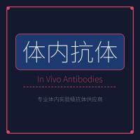 Syd Labs体内抗体代理