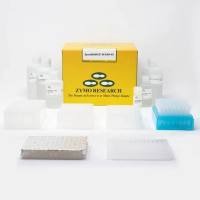 ZymoBIOMICS 96 DNA Kit(ZymoBIOMICS 96 孔板DNA提取试剂盒)