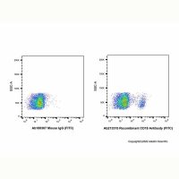 Recombinant CD19 Antibody (FITC),ExactAb™, 已验证, 5 μL/test,阿拉丁