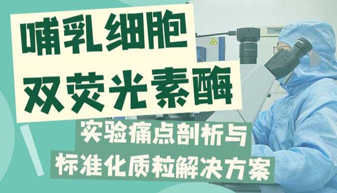 哺乳细胞双荧光素酶实验痛点剖析与标准化质粒解决方案