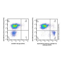 Recombinant Ly76/TER-119 Antibody (AF647),ExactAb™, 已验证, 0.5mg/mL,阿拉丁