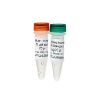 Universal Methylated DNA Standard(通用甲基化DNA标准品)