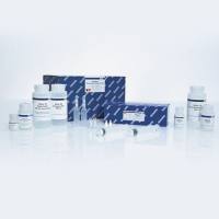 Qiagen（凯杰）12943 质粒中提试剂盒