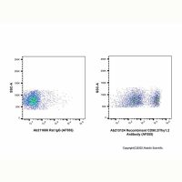 Recombinant CD90.2/Thy1.2 Antibody (AF555)，ExactAb™, 已验证, Ex:553nm, Em:568nm, 0.5 mg/mL，阿拉丁