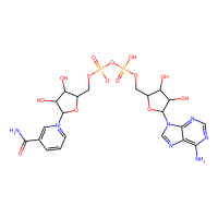 β-烟酰胺腺嘌呤二核苷酸(NAD)，53-84-9，Moligand™, ≥97%，阿拉丁