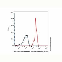 Recombinant CD235a Antibody (AF555)，ExactAb™, 已验证, 0.5 mg/mL，阿拉丁